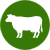 Dairy Farm